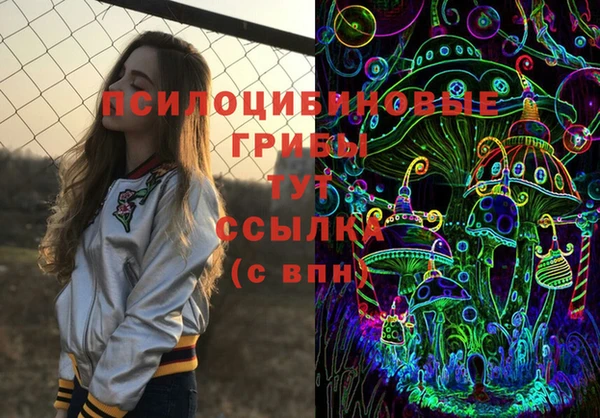 a pvp Белокуриха