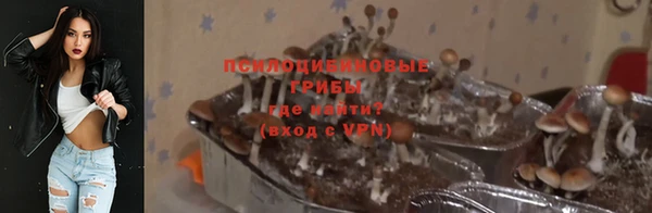 гашик Беломорск
