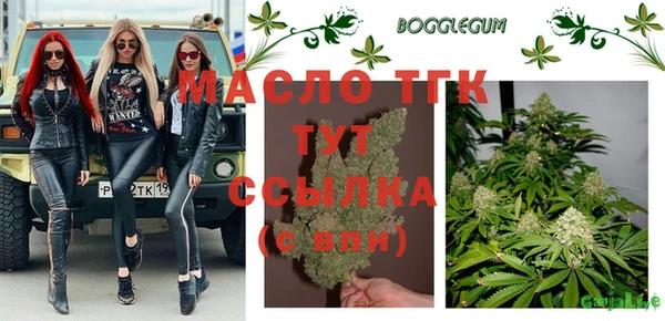 СК Новодвинск