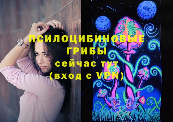 гашик Беломорск