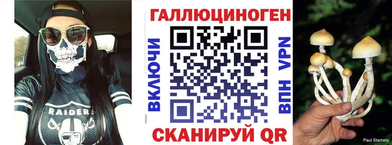 Псилоцибиновые грибы мицелий Чегем